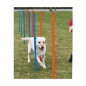 Preview: Trixie Agility Slalom