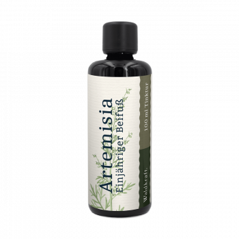 Artemisia – Einjähriger Beifuß