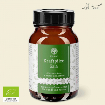 Kraftpilze Gaia - Vitalpilz Synergetikum - 100g