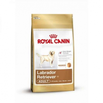 Royal Canin Labrador Retriever Adult