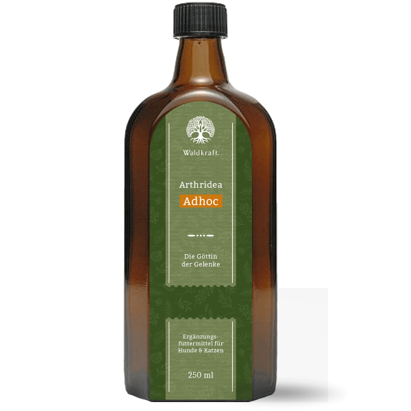 Arthridea Adhoc - Die schnelle Gelenkunterstützung - 250ml