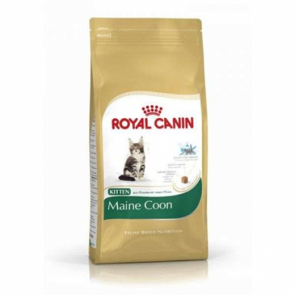 Royal Canin Feline Kitten Maine Coon 36